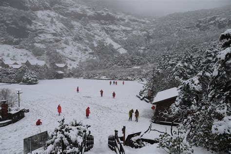 昆明轿子雪山下雪啦！银装素裹，美不胜收……