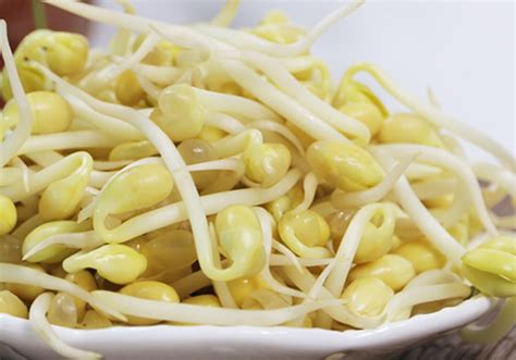 【超简单生绿豆芽的做法步骤图，怎么做好吃】大波波姐_下厨房