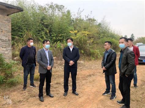 11月17日中午，鄱阳县委副书记艾晖一行到游城乡鱼塘村调研指导高标准农田建设项目