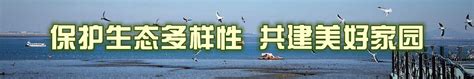 南通润启环保服务有限公司 - 企查查