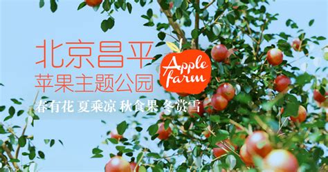 持续做强做大做优“昌平苹果”品牌！特色农产品推广活动走进“回天”