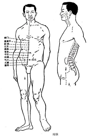 冲脉的准确位置图图片