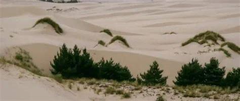 《沙丘》的关键生物“沙虫”介绍，全面暸解它的生态与相关文化_拉科斯