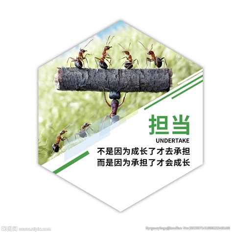 蚂蚁团队精神图片_蚂蚁团队精神设计素材_红动中国