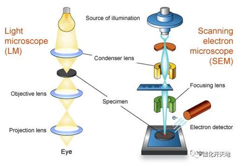 SEM形貌观测（设备：扫描电子显微镜ZEISS SIGMA）|华慧高芯网