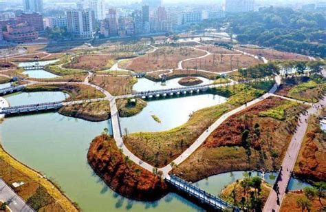 从城市到自然 | 深圳石岩河湿地改造提升工程_同花顺圈子
