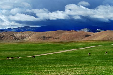 羌塘草原简介-羌塘自然保护区-西行川藏