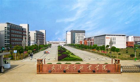 武汉工程职业技术学院-掌上高考