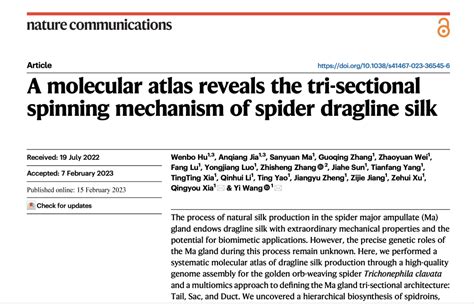Nature Communications: 分子图谱揭示蜘蛛牵引丝三阶合成的新机制