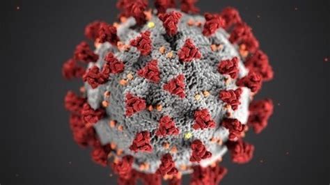 分离病毒及构建假病毒在抗疫研究中的应用_生物器材网