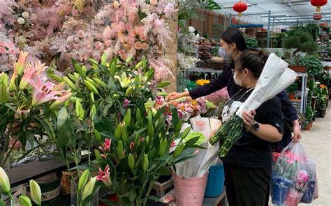 山东青州：电商直播助力花卉销售-人民图片网