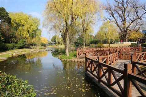 2020古银杏树公园-旅游攻略-门票-地址-问答-游记点评，上海旅游旅游景点推荐-去哪儿攻略