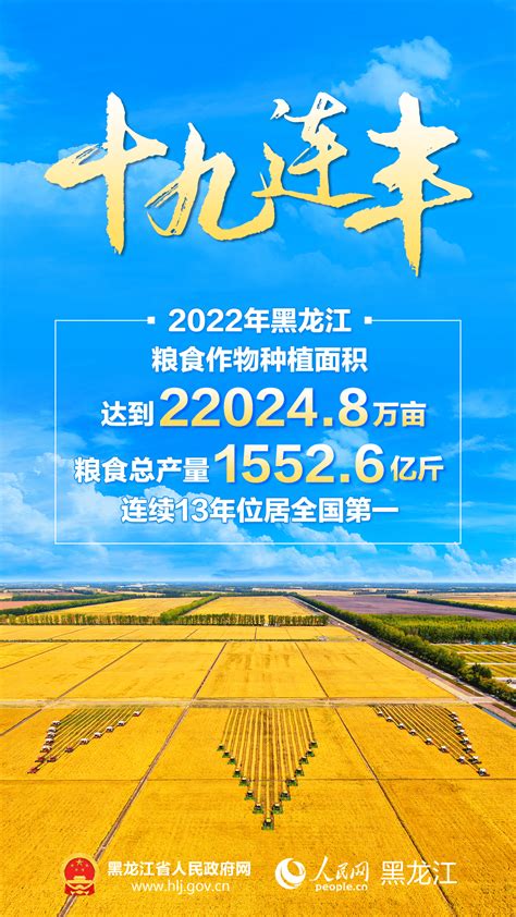 2022年黑龙江省粮食总产量达1552.6亿斤 连续13年位居全国第一_面积_谷物_单位