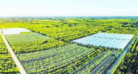互联网＋引领现代农业转型升级 - 行业新闻 - 北京东方迈德科技有限公司