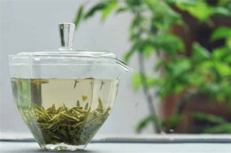 绿茶价格多少钱一斤_绿茶市场价几十到上千元的都有- 茶文化网