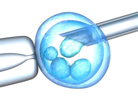 试管婴儿胚胎移植移几个好 怎么知道移植有没有成功 _八宝网