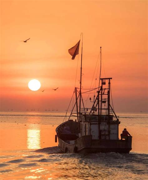 海洋渔业_360百科