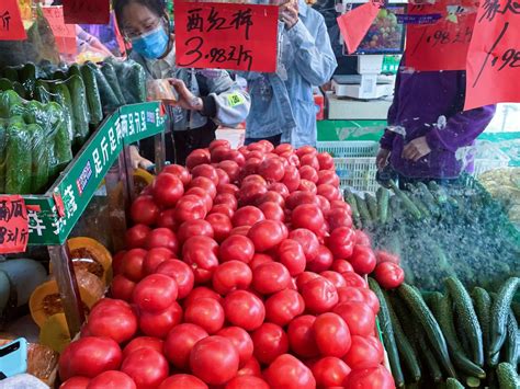京郊西红柿批量成熟 新发地批发价格回落至每斤两元_农科新闻网