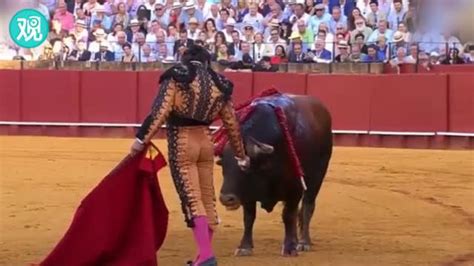 西班牙斗牛士杀死公牛前为其擦去血泪 引巨大争议(含视频)_手机新浪网