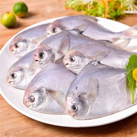GUO LIAN国联 东海白鲳鱼 银鲳鱼 600g 5-8条 国产深海鱼产地直供 冰冻-商品详情-光明菜管家