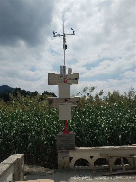 农业四情自动监测系统-一种特好用的大田作物四情监测系统_环保在线