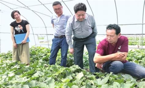 荆州农业科学院专家团队走基层 - 荆州市农业农村局