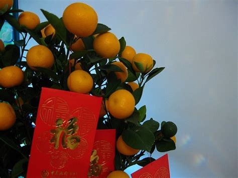 Chinese New Year Hongbao and Gift-Giving Etiquette | the Beijinger