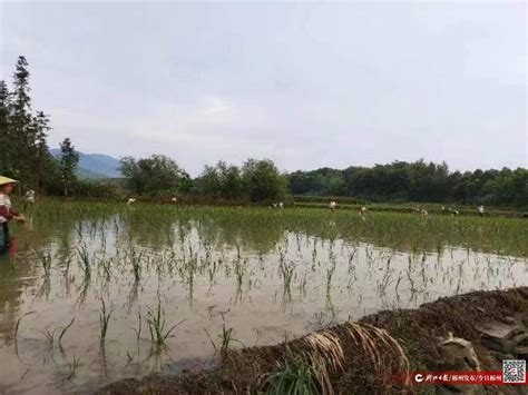 湖南汝城县有条热水河,水温高达98度,沿河村民不用烧水