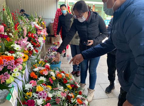 北京清明祭扫接待日，20个扫墓点将免费提供60万枝鲜花 | 北晚新视觉