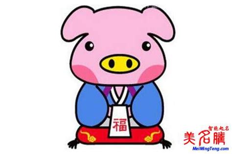 2019年猪宝宝起名大全 2019年猪宝起名什么好 _八宝网