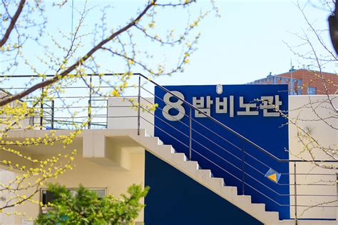 “湖师远航·2023”（二十五）韩国加图立大学秋季学期免学费交换生项目