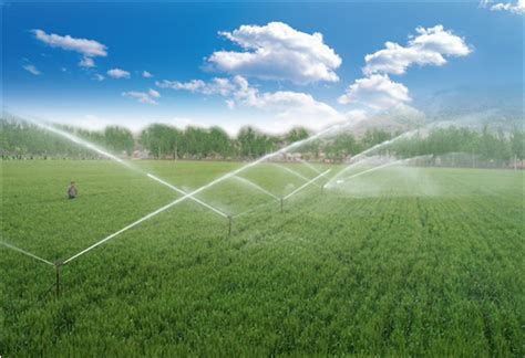 河北：把发展节水农业作为主攻方向 分类推进高效节水灌溉