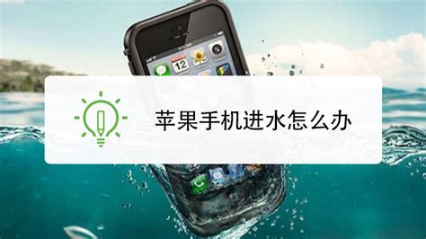 iPhone XS手机进水怎么办？处理方法奉上 - 苹果手机进水维修 - 丢锋网