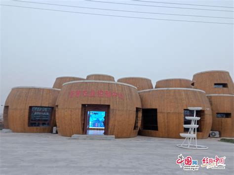 渭南葡萄产业园 打造现代农业综合园区 - 丝路中国 - 中国网