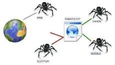 如何从前端优化SEO在网页制作中的应用_超级蜘蛛池