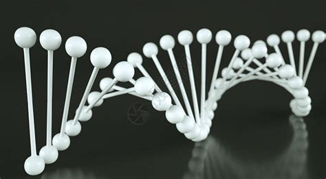 双螺旋DNA分子结构PNG图片素材下载_图片编号8695070-PNG素材网