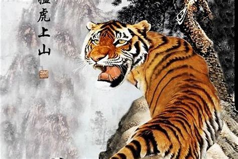 智慧篇7：虎、虎、虎，说说歇后语中的老虎 - 知乎