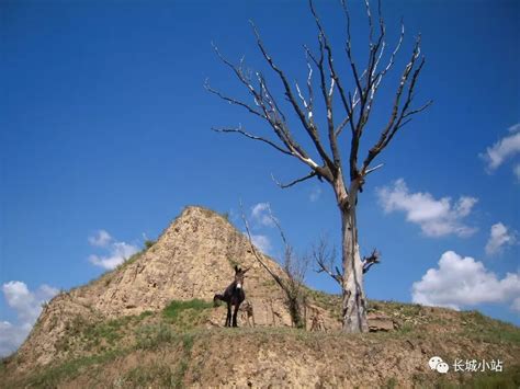 新时期榆林煤矿区生态保护修复与综合治理策略及路径探索
