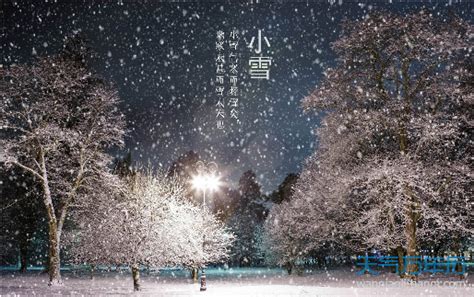 节气里的中国丨“小雪”不见雪，且暖且珍惜…… - 聚焦合浦 合浦123