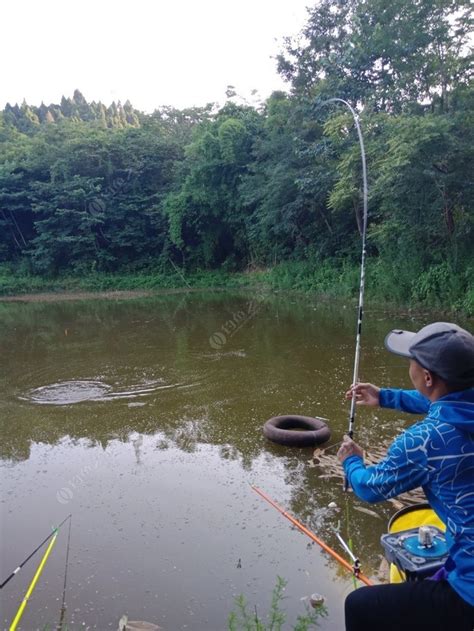 清家湾水库_清家湾水库钓鱼攻略_清家湾水库可以钓鱼吗 - 钓鱼人