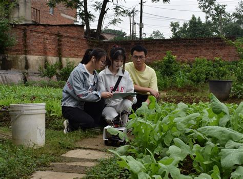 湖南科技学院大学生创业项目为现代精准农业赋能 - 永州 - 新湖南