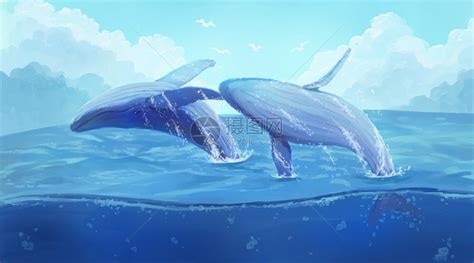 动物简笔画图片大全之鲸鱼简笔画画法图解教程 肉丁儿童网