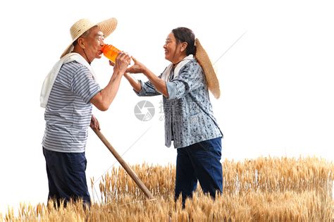 农民夫妇在麦田里劳动高清图片下载-正版图片507692276-摄图网