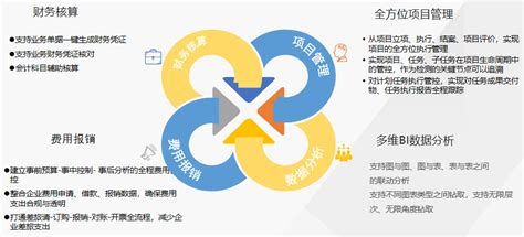 可靠性软件开发_湖南银杏数据科技有限公司【官网】
