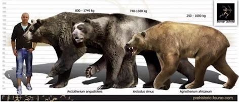 重达1吨的史前巨兽，站立起来有1层楼高，与棕熊、北极熊是亲戚 - 知乎