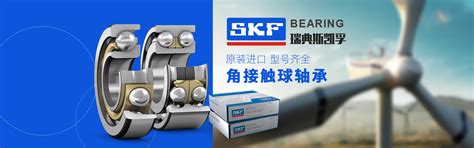 SKF轴承-SKF轴承官网，SKF进口轴承，SKF轴承-上海十汇轴承有限公司