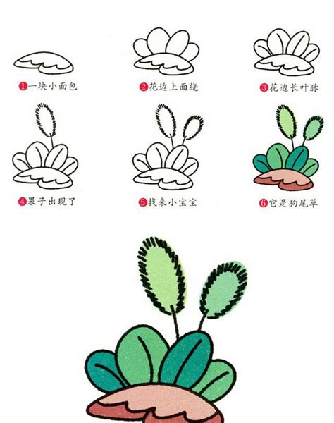 50种植物的简笔画 50种植物的简笔画和简介 | 抖兔教育