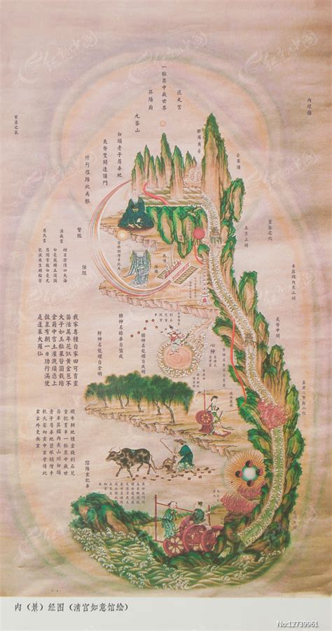 内经图图片