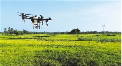 给农业插上科技的“翅膀”_智慧农业_AI资讯_工博士人工智能网