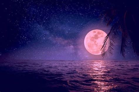 日本网友晒出“平成最后的满月”，今夜的月色，太美太惊艳了！|月色|满月|月亮_新浪新闻